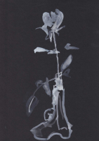 http://www.actionaqua.com/files/gimgs/th-111_FHD 15 19.jpg